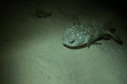 20011008_3_Mangrove_Bay_0034